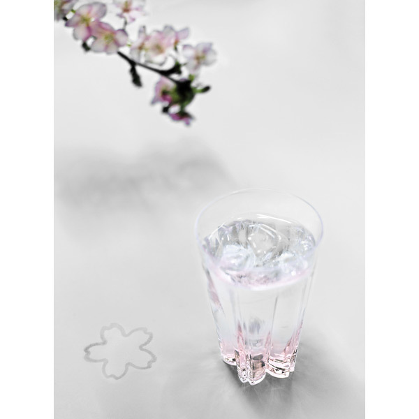 SAKURASAKU glass ロック紅白ペア | 商品詳細 | 高島屋
