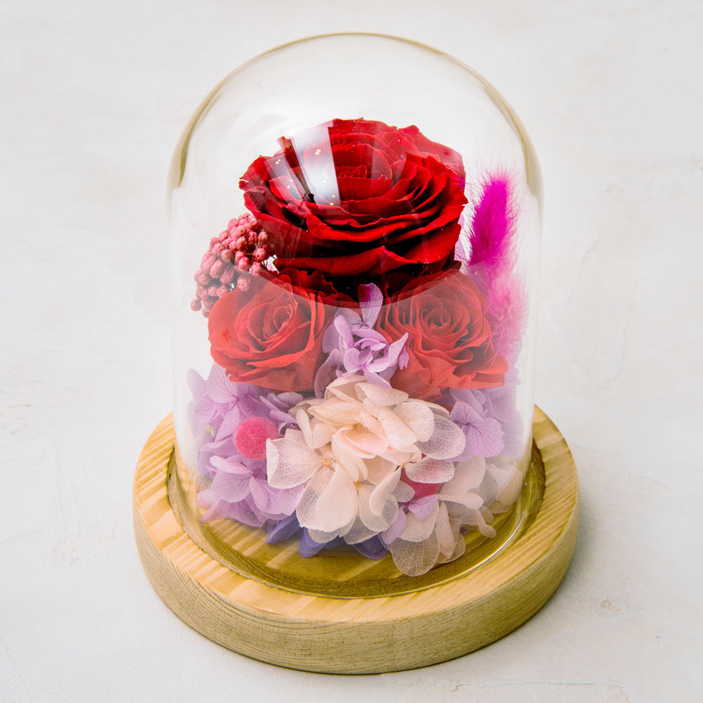 ドームプリザ ゴディバ苺クッキー 商品詳細 高島屋オンラインストア