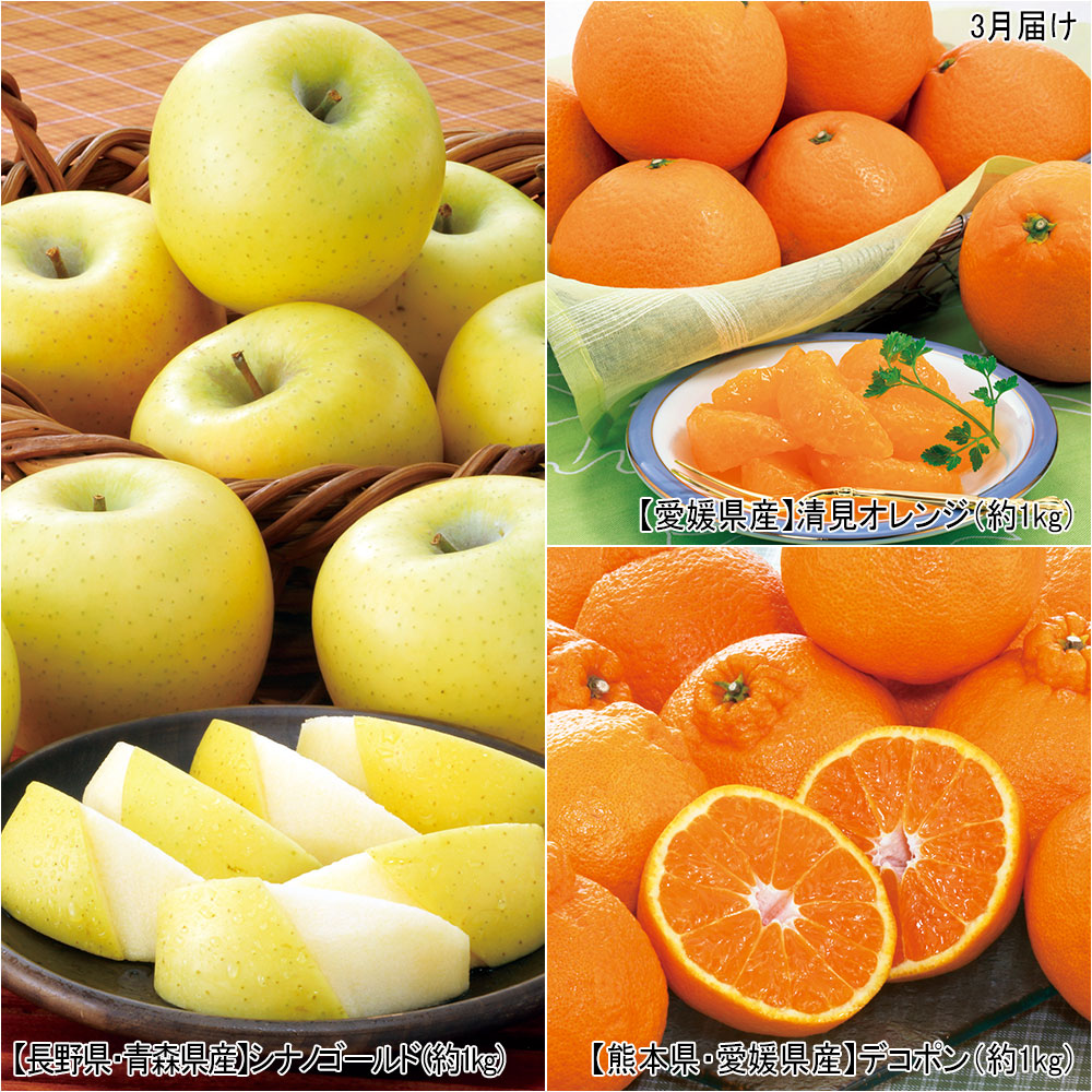 定期便】季節のフルーツ（5-4月届け） | 商品詳細 | 高島屋