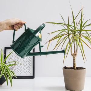 HAWS Heritage Indoor 1L プラスチックジョウロ　グリーン　