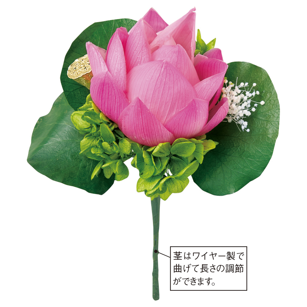 仏事プリザーブドフラワー 蓮の花 商品詳細 高島屋オンラインストア 仏事プリザーブドフラワー 蓮の花 商品詳細 高島屋オンラインストア