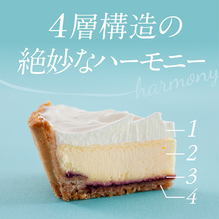 ふらの雪どけチーズケーキ2種セット 商品詳細 高島屋オンラインストア
