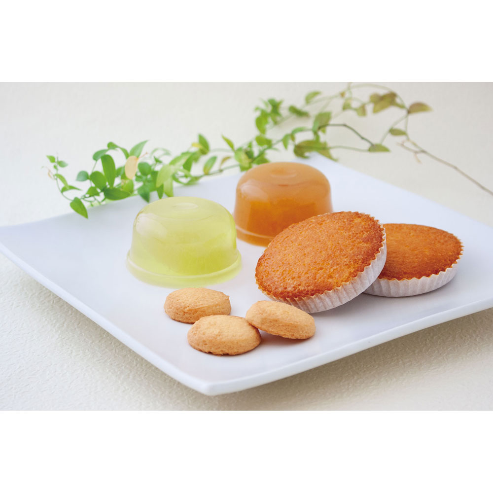 ジュヴァンセル〉京季よせ（夏） | 商品詳細 | 高島屋オンラインストア