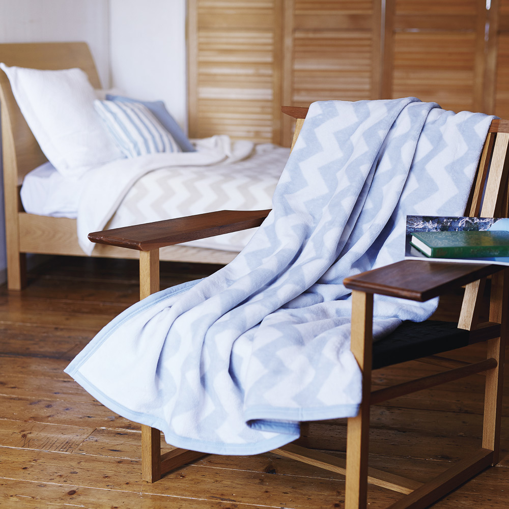 ランバン ニューマイヤー毛布 2Pセット ランバンコレクション 毛布