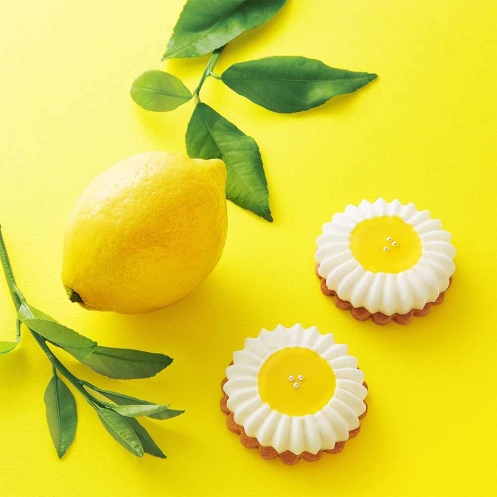 🍋🎁高島屋限定！キツネとレモンのホワイトデーギフトが素敵すぎる