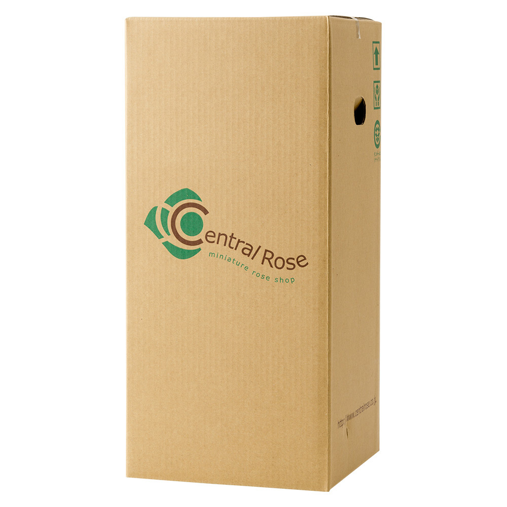 生花 ミニバラレッド ゴディバ苺クッキー 商品詳細 高島屋オンラインストア