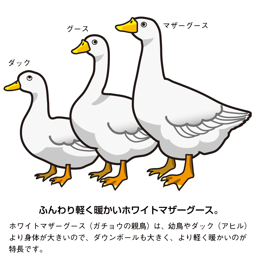 タカシマヤ通販70年特別提供品 ﾎﾜｲﾄﾏｻﾞｰｸﾞｰｽﾀﾞｳﾝ93 入 羽毛掛ふとん 商品詳細 高島屋オンラインストア