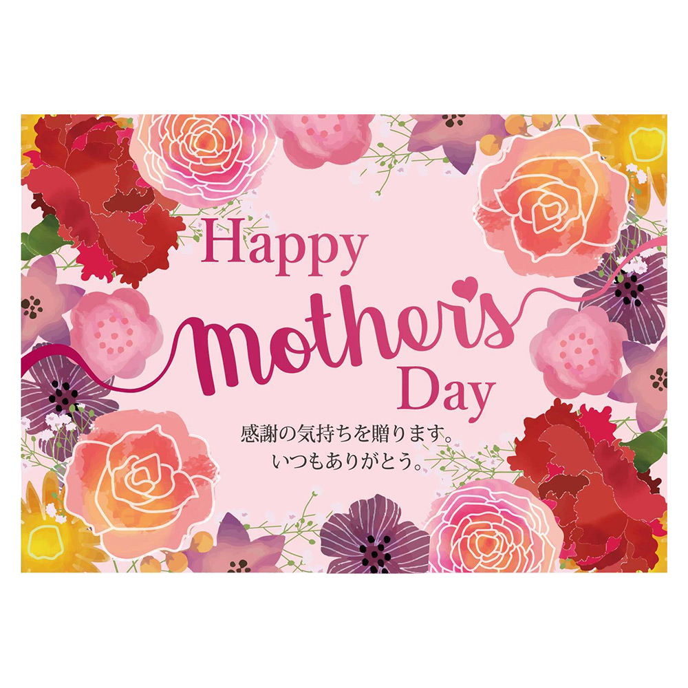 ガーデニング フラワー 花 花ギフトセット 母の日ギフト 北海道小豆と徳島なると金時のどら焼き ホシファームのカーネーション鉢植え Fl8776 Sale Ninki 鉢花 Hardmusicrecords Com