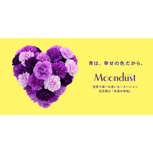ムーンダスト花束s12本 スタンディング 商品詳細 高島屋オンラインストア