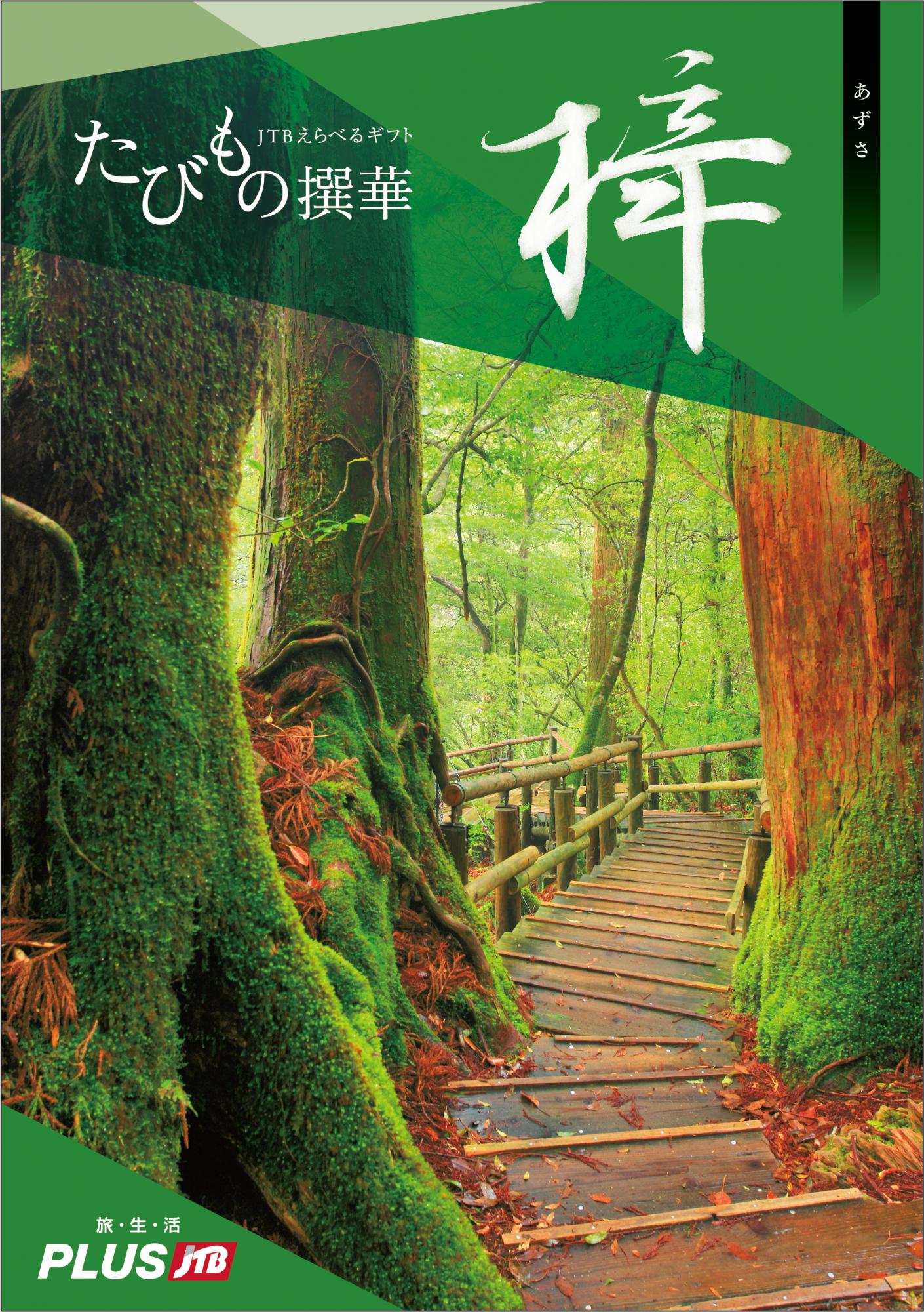 たびもの撰華 「檜」 持ち込め