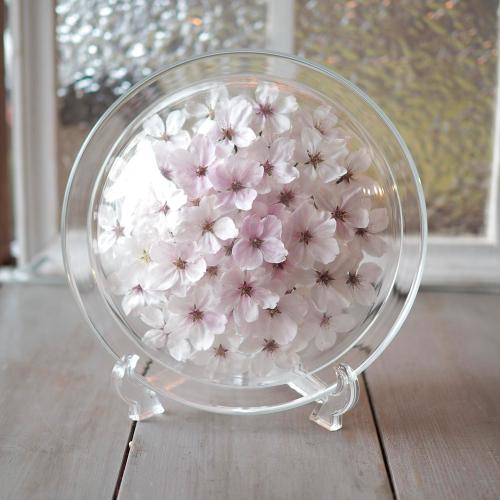 お部屋でさくらを感じるアイテム【さくらフェア】