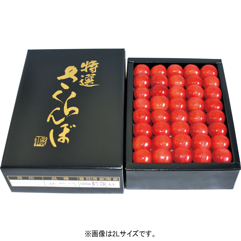 さくらんぼなど新着フルーツはこちらから