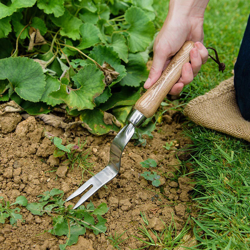 英国のKent＆Stoweのガーデニングツールでおしゃれに快適！