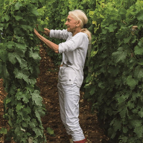 ブルゴーニュの至宝 「LEROY(ルロワ)」日本上陸50年。