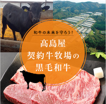 【和牛の未来を守ろう！高島屋契約牧場の黒毛和牛】