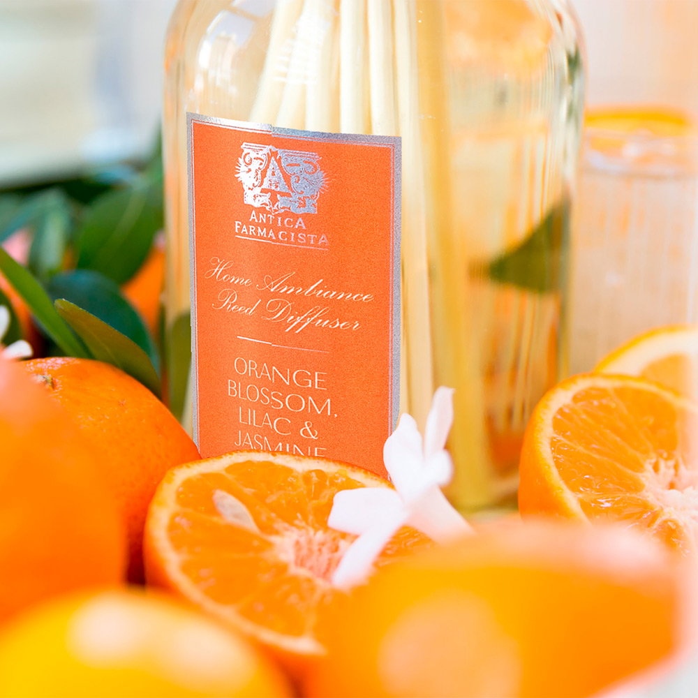 香りで整える、心地よい空間【ルームフレグランス特集】