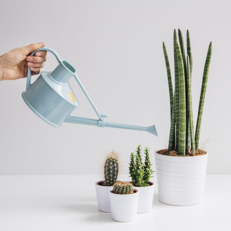 おしゃれなグッズでガーデニングを始めませんか〈ヴェクスセット〉