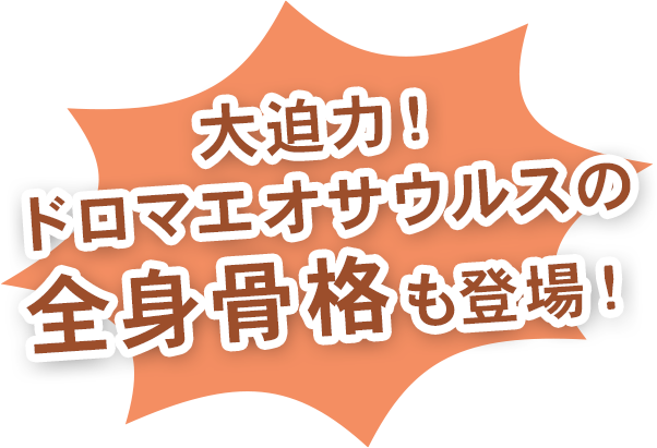 大迫力！ドロマエサウルスの全身骨格も登場！