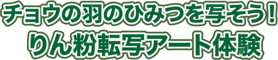 チョウの羽のひみつを写そう！りん粉転写アート体験