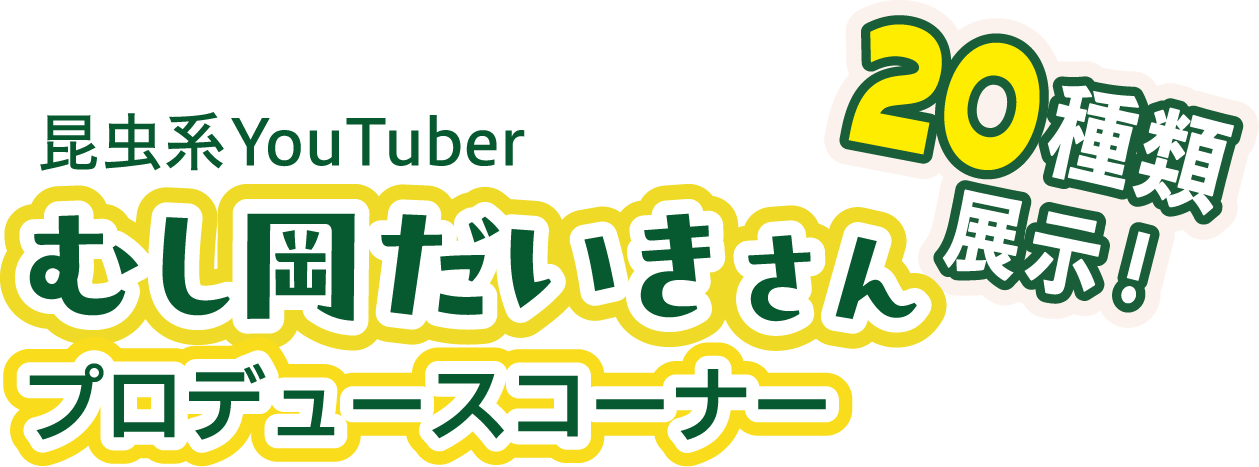 昆虫系Youtuber むし岡だいきさんプロデュースコーナー 20種類展示！