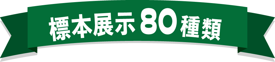 標本展示80種類