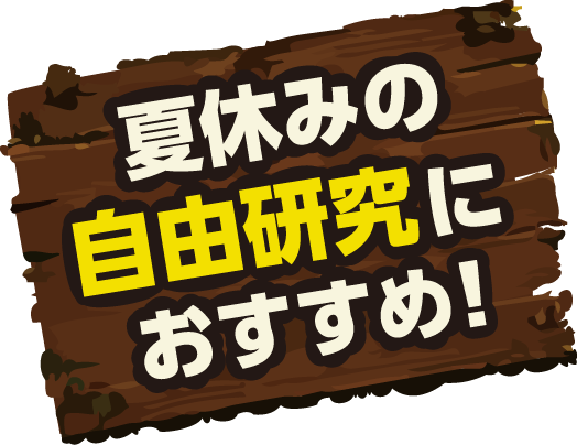 夏休みの自由研究におすすめ！