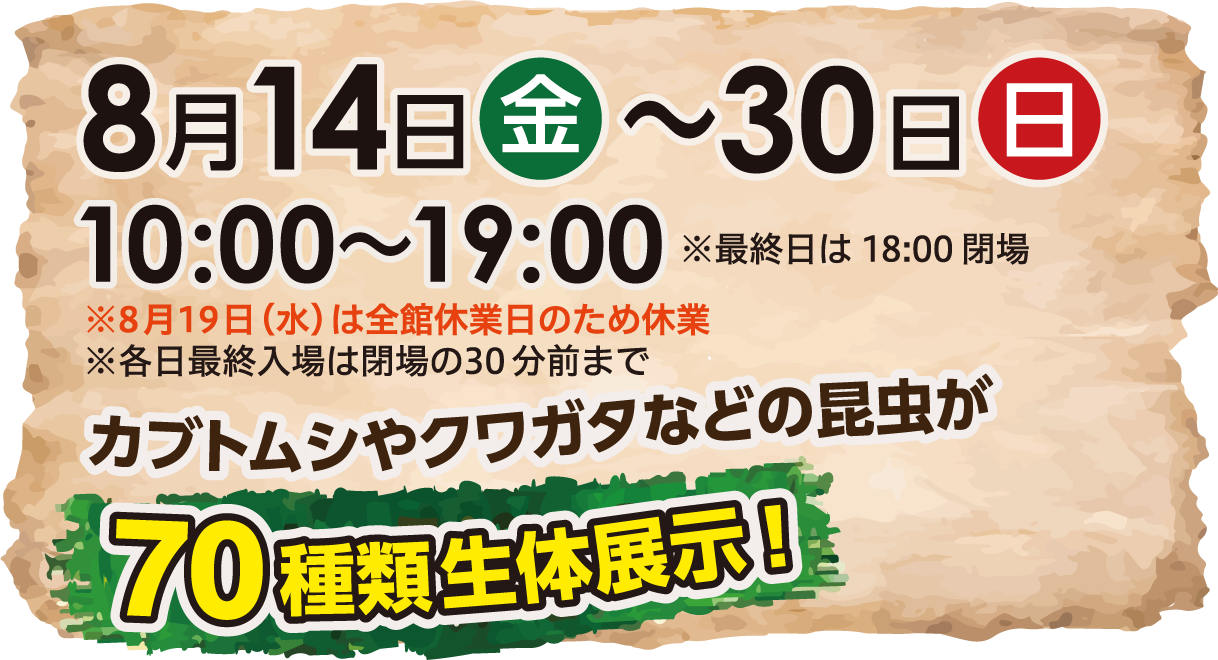 8月14日(金)～30日(日) 10:00～19:00 ※最終日は18:00閉場 ※8月19日(水)は全館休業日のため休業 ※各日最終入場は閉場の30分前まで カブトムシやクワガタなどの昆虫が70種類生体展示！