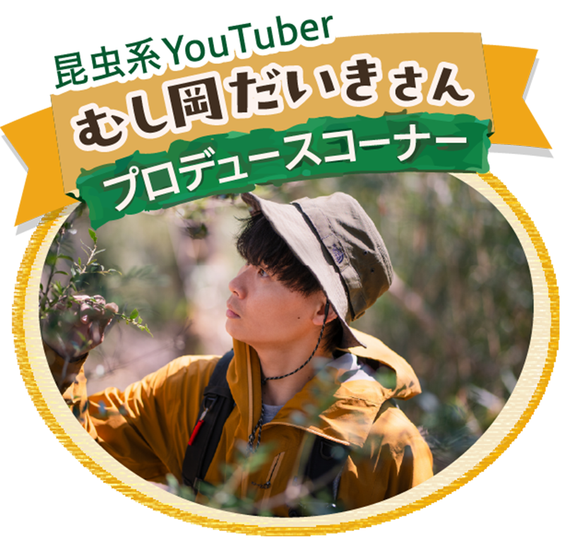 昆虫系Youtuber むし岡だいきさん プロデュースコーナー