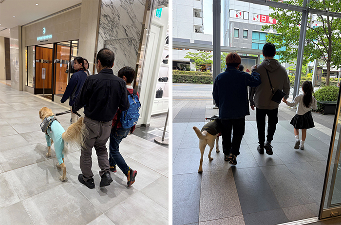 盲導犬ユーザーの方に声をかけ、バス停までお連れするアテンド（誘導）体験の様子