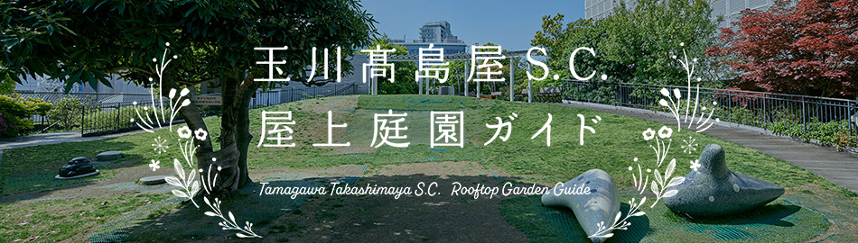 屋上庭園ガイド