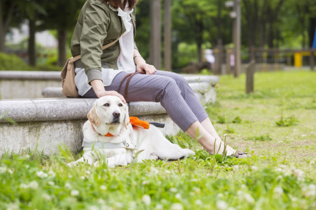 盲導犬支援