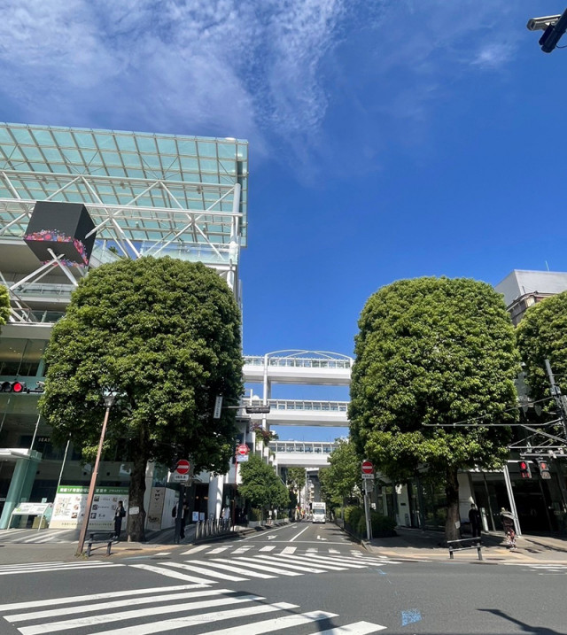 クスノキとともに歩んだ時間、そしてこれから