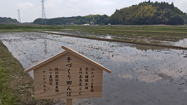 めぐる資源、育つ未来。
～ バイオガス由来堆肥とともに育む、玉川高島屋S.C.と<br class="pc">『榮太樓總本鋪』の田んぼづくりVol.2 ～