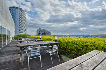 The Veranda