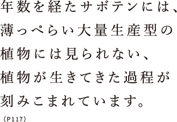 年数を経たサボテンには、薄っぺらい大量生産型の植物には見られない、植物が生きてきた過程が刻みこまれています。（P117）