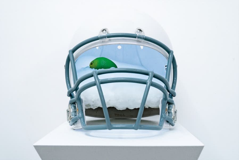 ヘルメットフリーザー Helmet-freezer 2016 豊田市美術館蔵 collection of Toyota Municipal Museum of Art