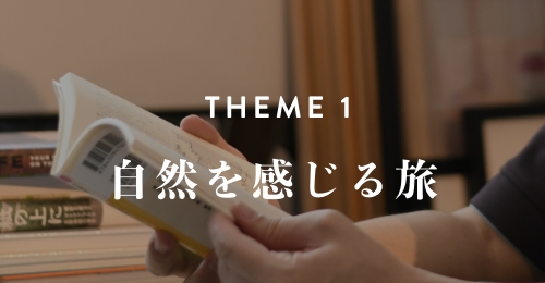 theme1
