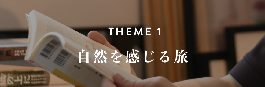 theme1