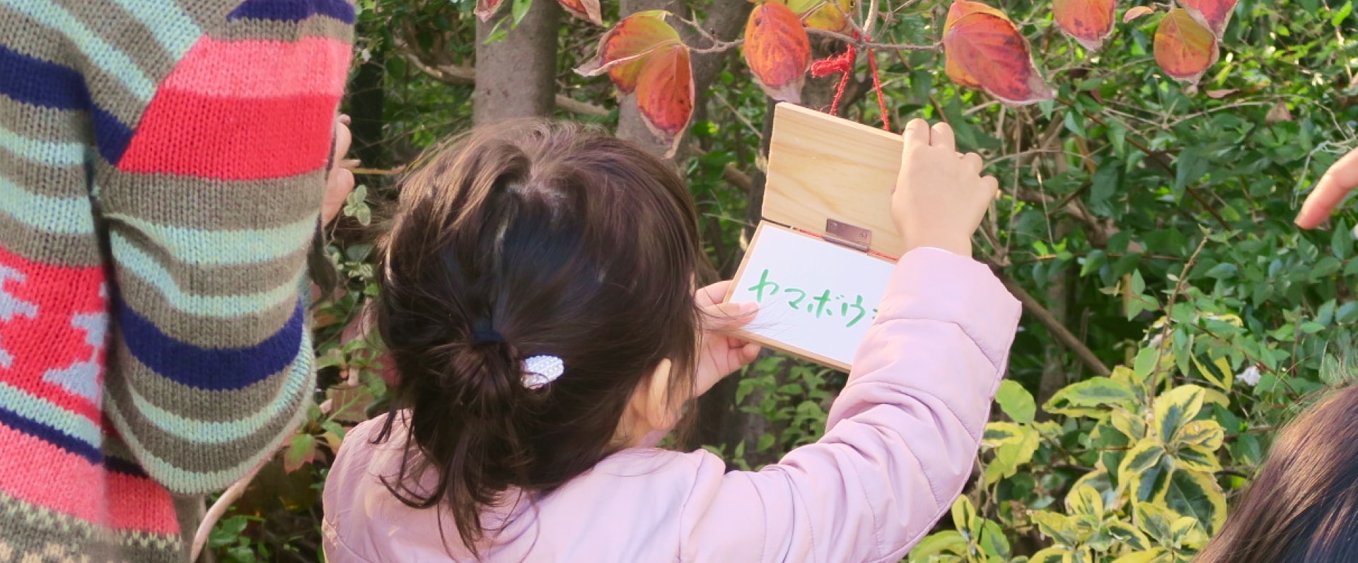 植物の名前の札を見るこども