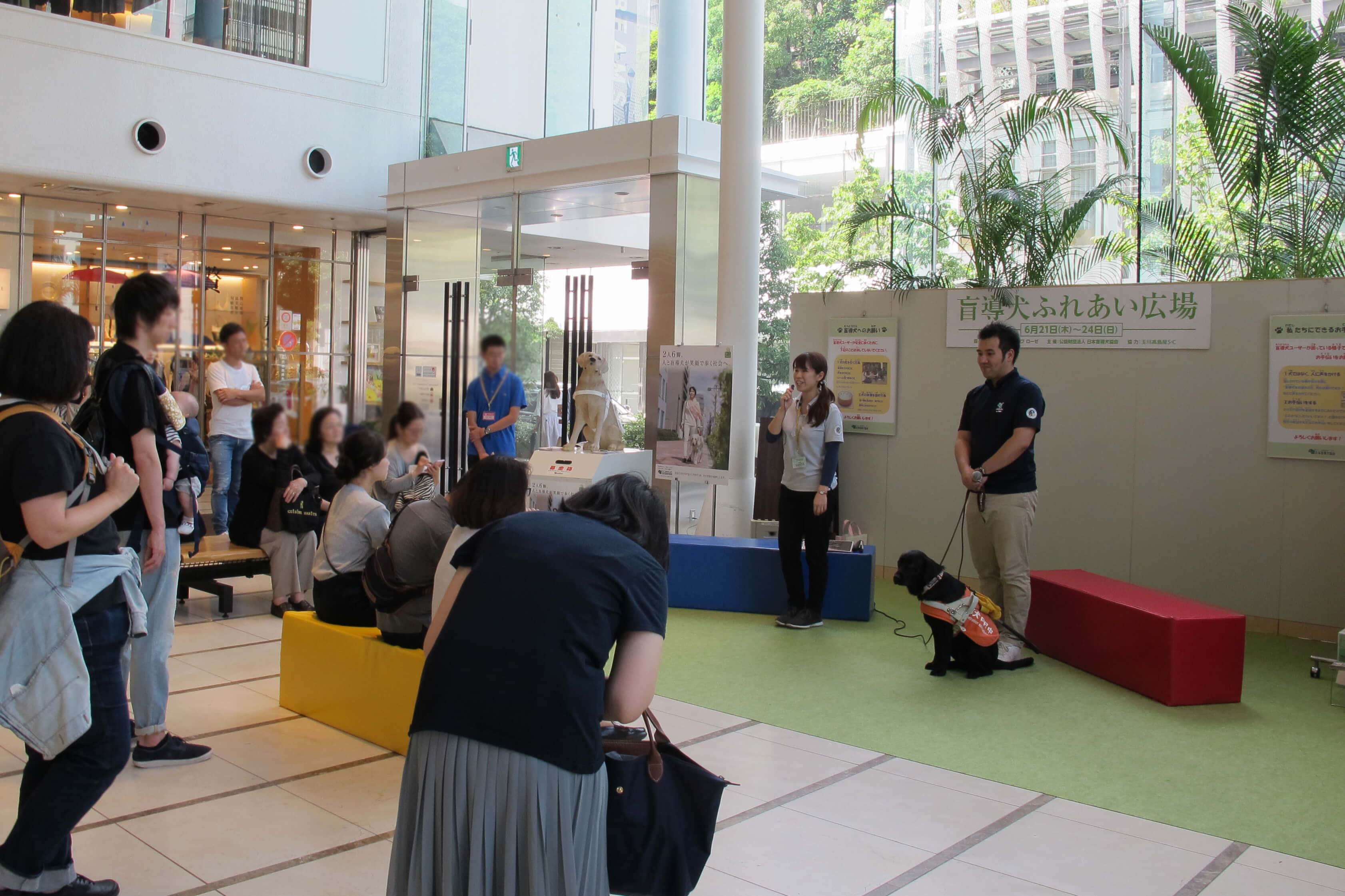 チャリティ―イベント「盲導犬ふれあい広場」の様子