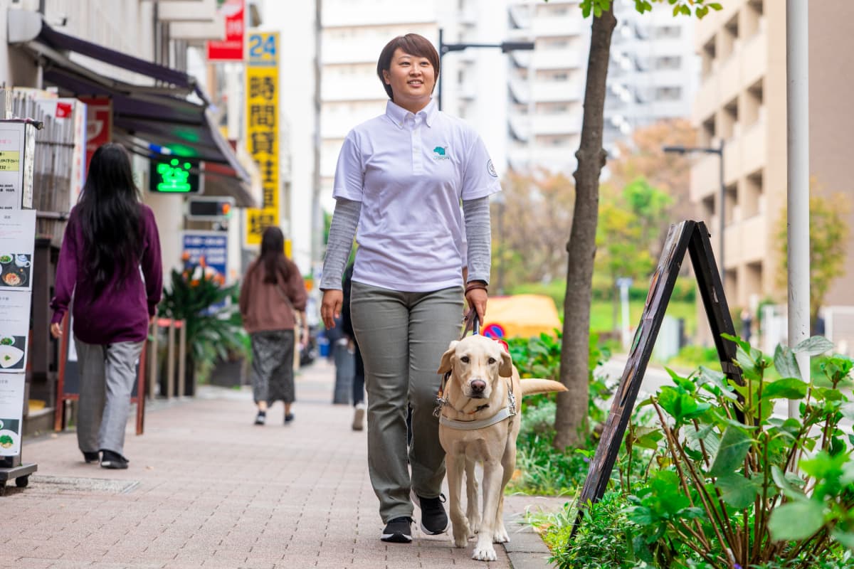 街中を歩く盲導犬